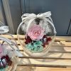 BELL JAR