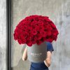 The Timeless (99 Fresh Flore)