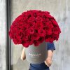 The Timeless (99 Fresh Flore)