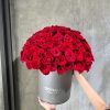 The Timeless (99 Fresh Flore)